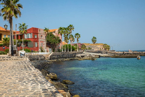 九游APP-西甲劲旅引进塞内加尔前锋，提升进攻火力