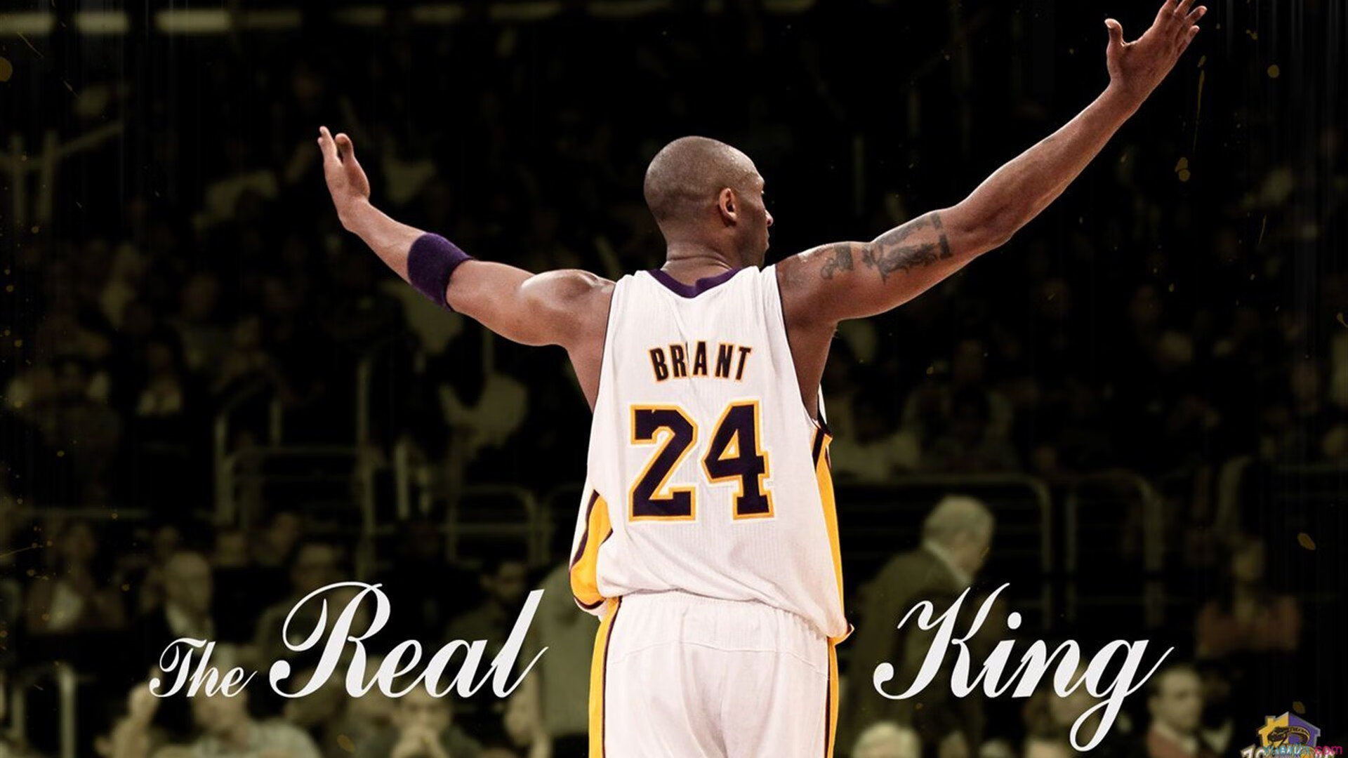 逆行者之光,西亚卡姆如何在雷霆风暴中完成蜕变